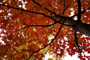 立冬以后。。。