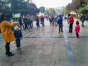 地書(手機(jī)片)