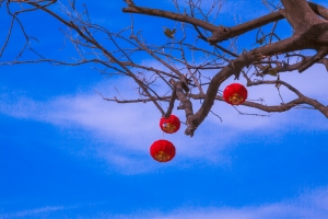 風(fēng)中的紅燈籠