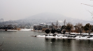 風雪里......(一)