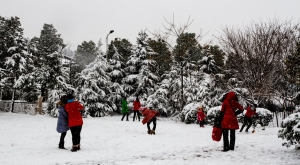 風雪里......(三）