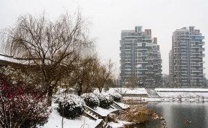 風雪里......(四)