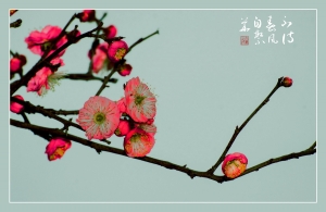 不待春風自繁華