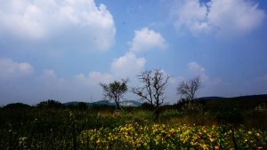 淮南繼續(xù)藍(lán)天白云