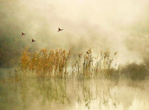 霧浴淮南生態濕地---昔日煤礦采空區