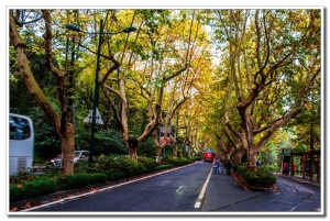 西湖風光（九）