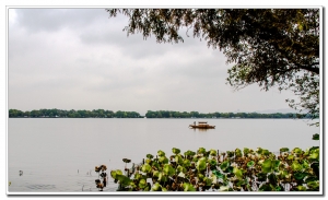               西湖風光（十一）