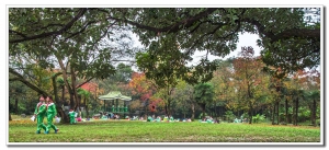 西湖風光（十三）