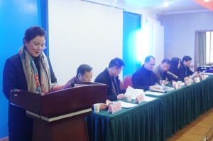 2015淮南市旅游協會年會