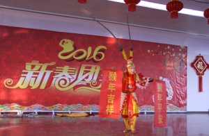 金猴鬧春--陶華強攝影作品