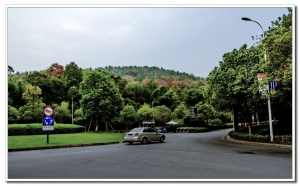 良渚美麗州公園隨拍（一）