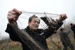 春天，愛鳥者在行動