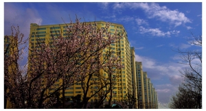 園林城市——淮南