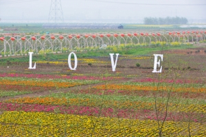 淮南首屆花博會（園）掠影