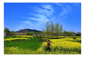 淮南鄉(xiāng)村隨想曲