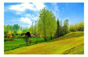 淮南鄉(xiāng)村隨想曲