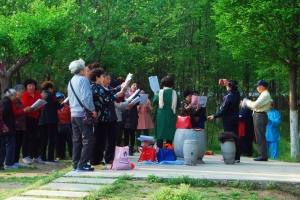 龍湖公園的早晨