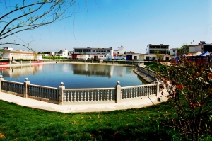 走進新農村——淮南架河武廟村