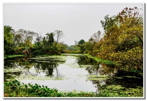 西溪濕地（一）