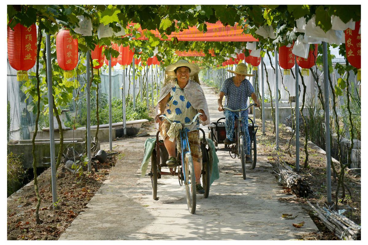 淮南萬頃農(nóng)業(yè)葡萄生態(tài)園