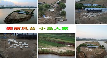 美麗鳳臺(tái)一一小島人家