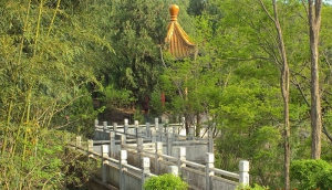 咱淮南山美、人更美！