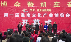 淮南市首屆文化產業博覽會掠影