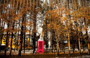 壽縣報恩寺一角