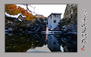 風(fēng)景這邊獨(dú)好