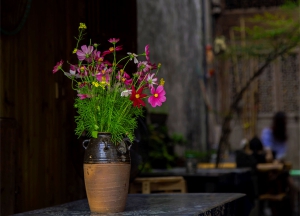 西遞“老房子旅館”插花