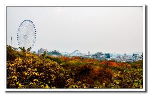 舜耕山隨拍（一）