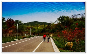 舜耕山隨拍（二）