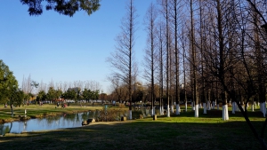 暖冬的淮南美景