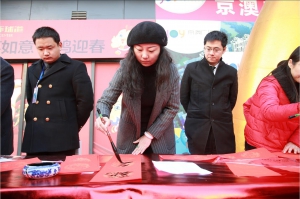 淮南女書法家協會2017春聯贈萬家活動