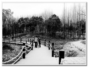 大通濕地生態園換新顏