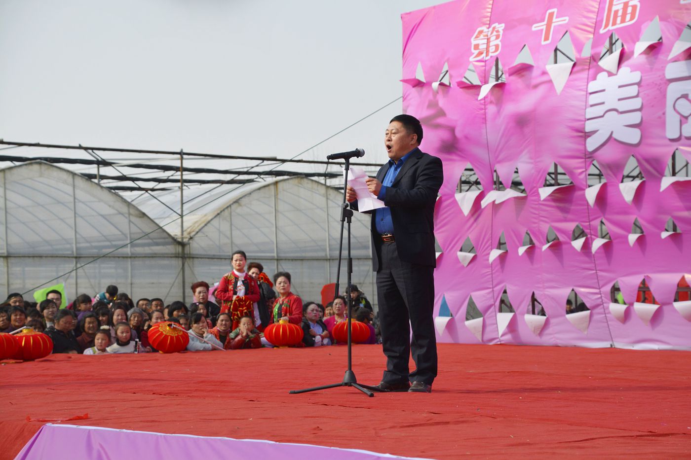 第十屆中國淮南曹安桃花草莓節隆重開幕