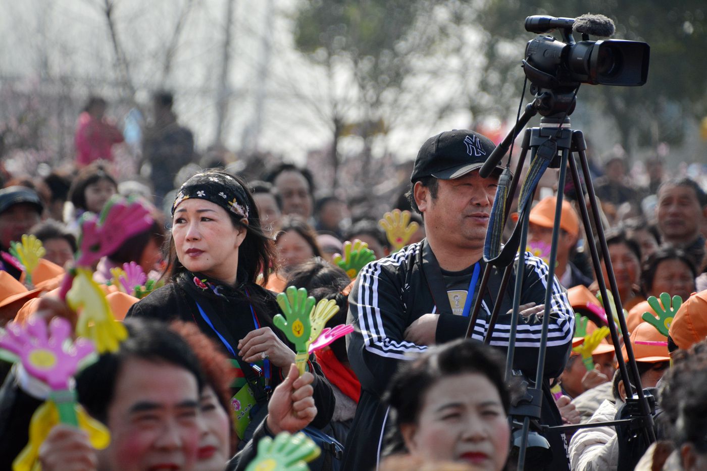 第十屆中國淮南曹安桃花草莓節隆重開幕