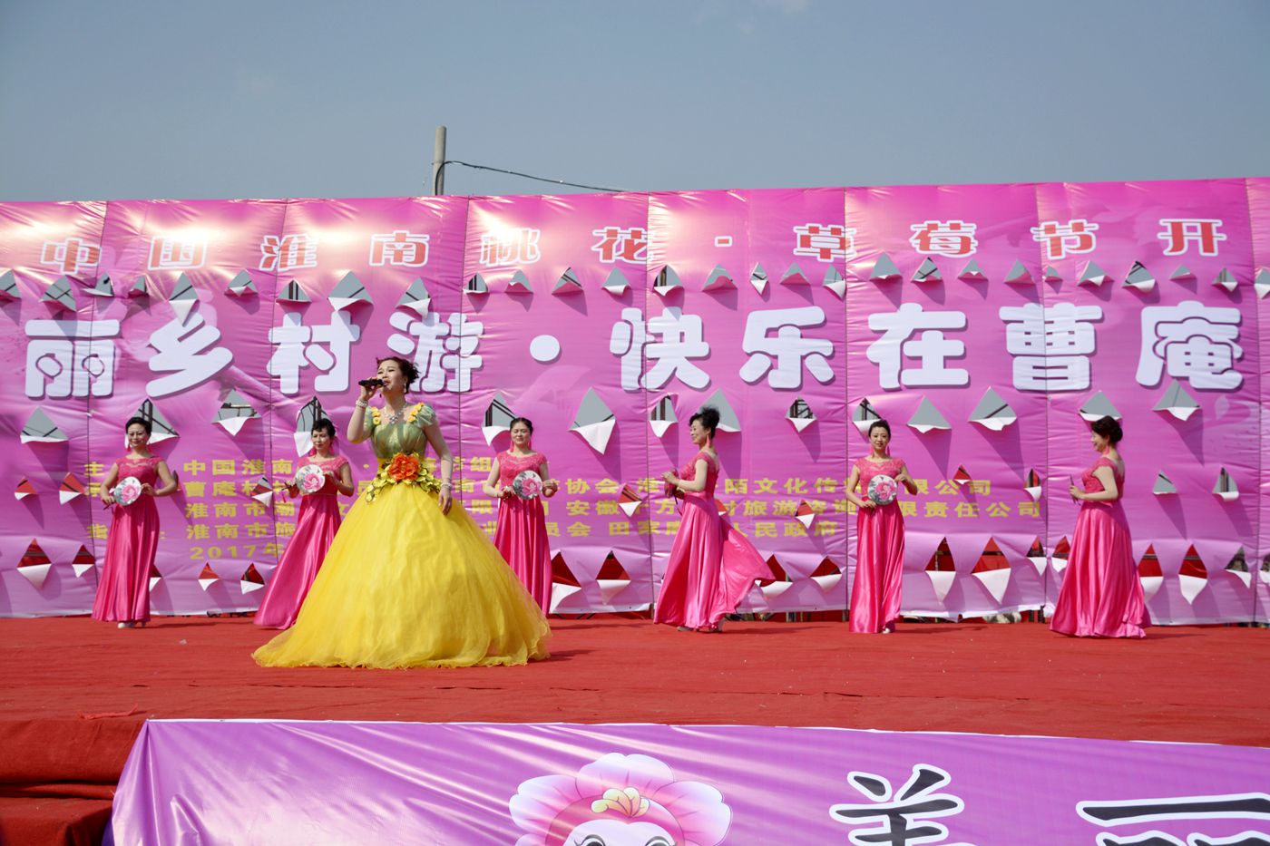 第十屆中國淮南曹安桃花草莓節隆重開幕