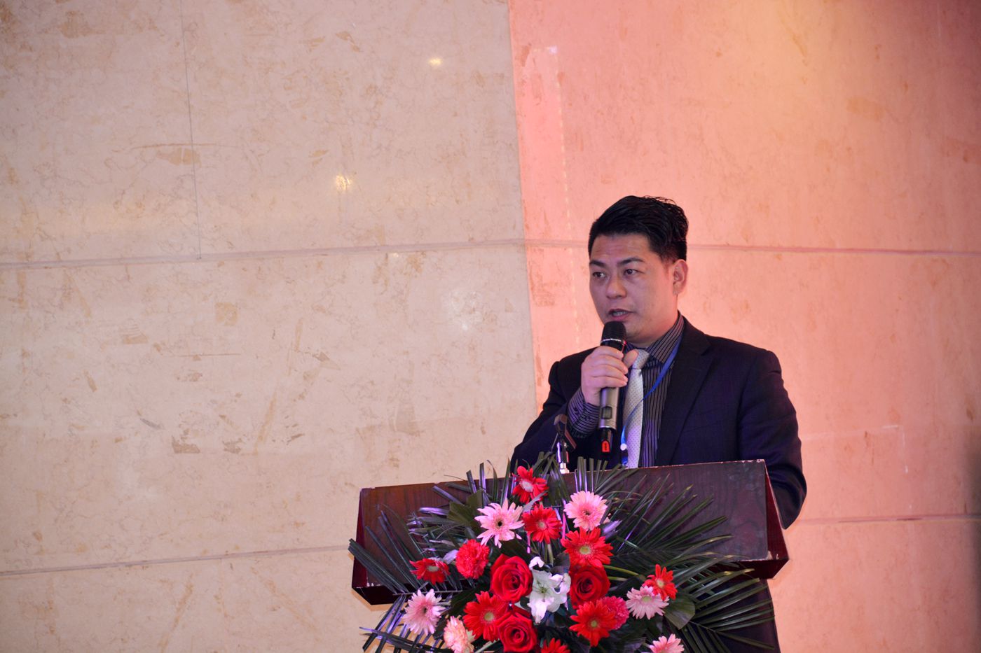 淮南市麗水商會成立暨招商推介會