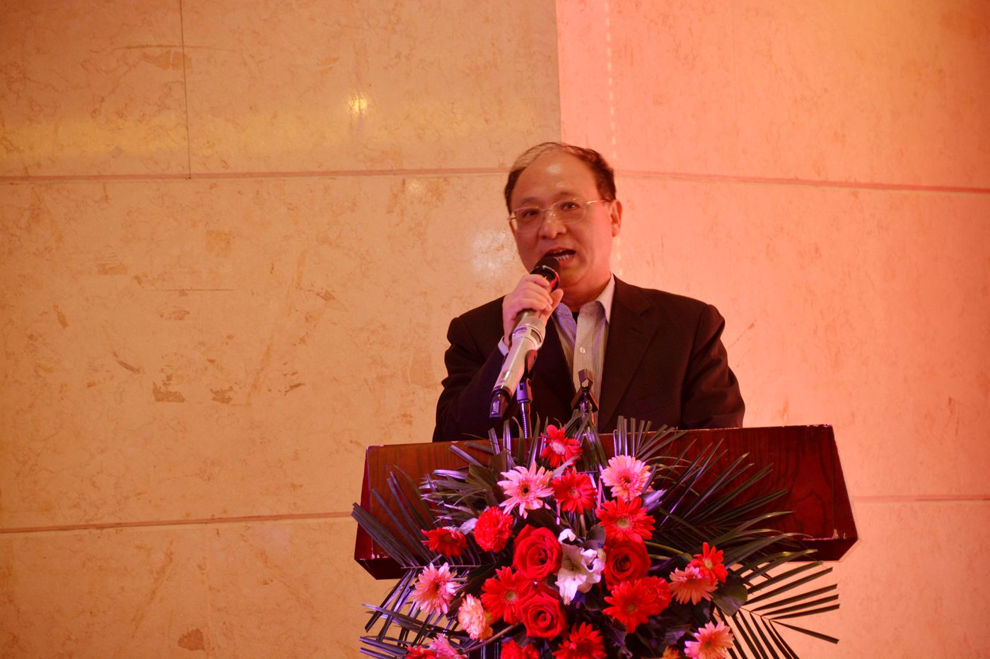 淮南市麗水商會成立暨招商推介會