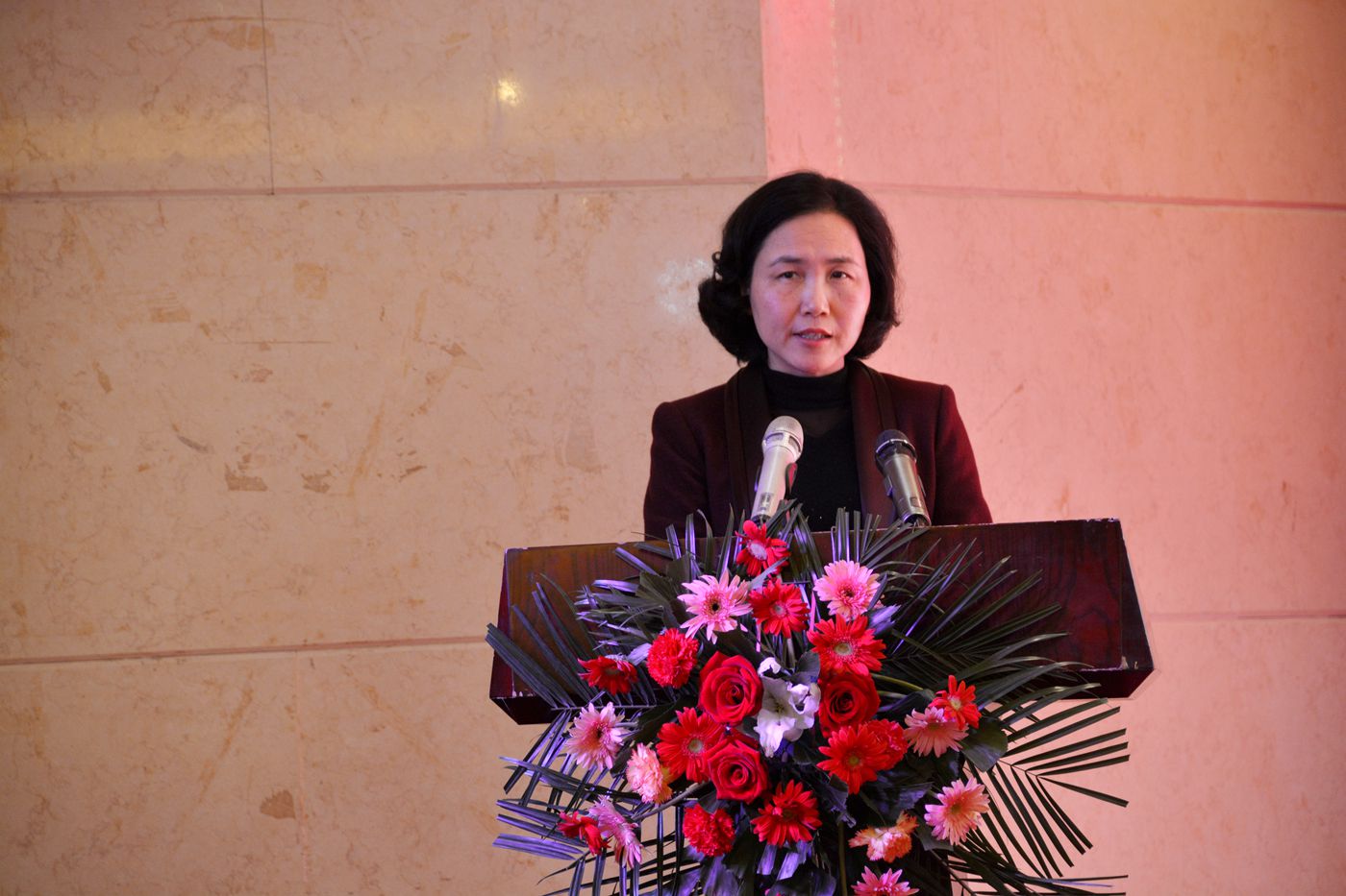 淮南市麗水商會成立暨招商推介會