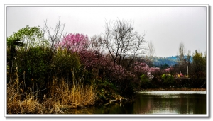 走進春天（一）